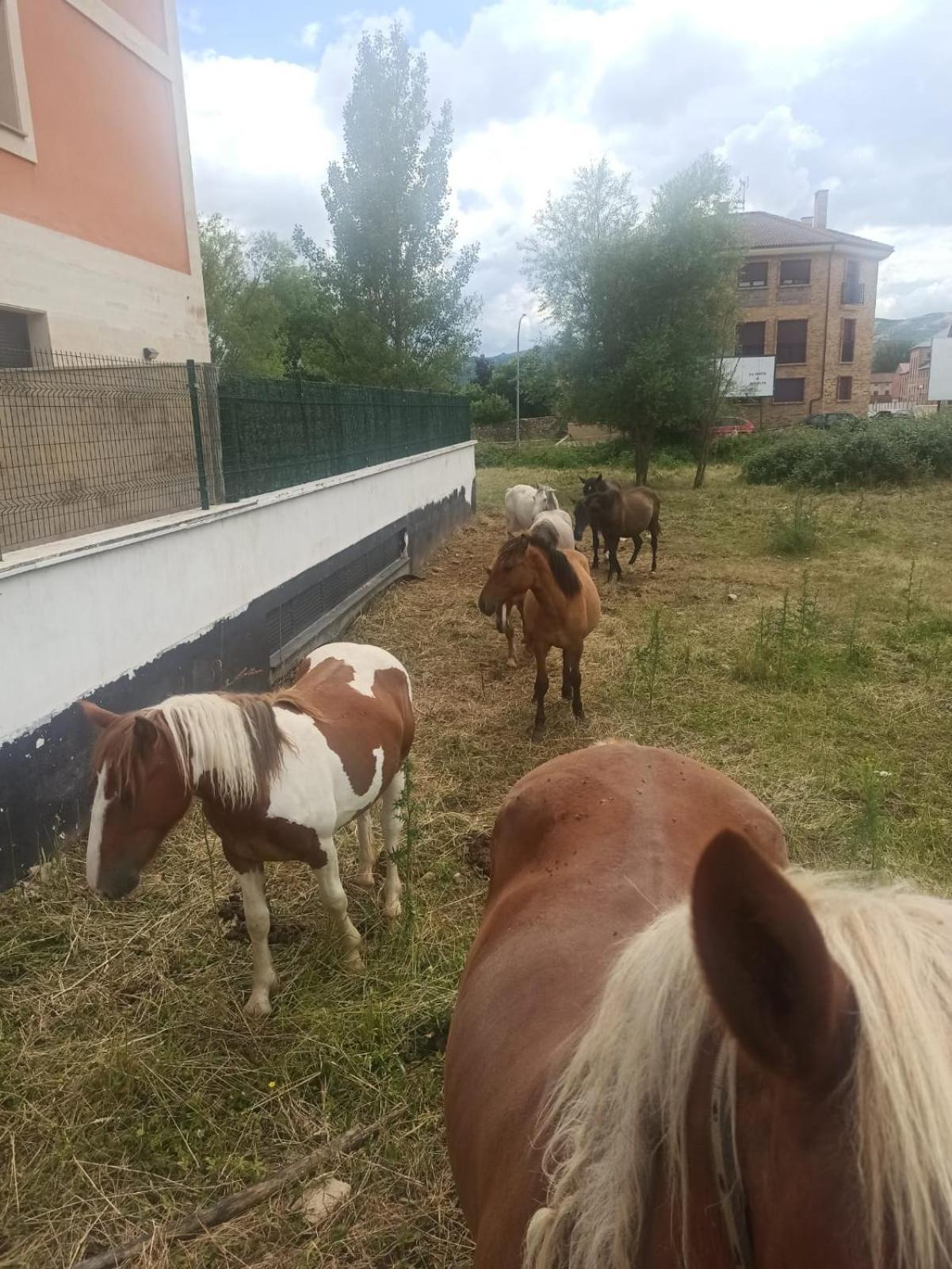 Alojamiento Fiordos Leoneses ボニャル エクステリア 写真